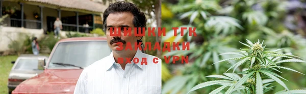 сатива Осташков