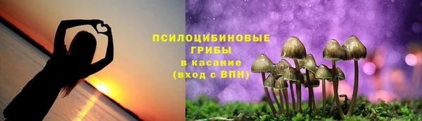 сатива Осташков