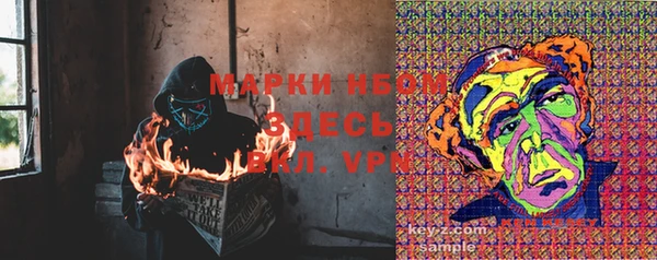 эйфоретик Пересвет