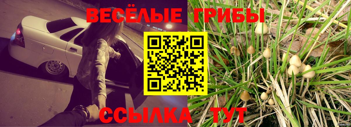Зерноград  Псилоцибиновые грибы Cubensis  Вход с VPN  Галлюциногенные грибы мухоморы 